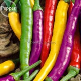 Mixed Colorful Hot Colorful Pod Pepper Chili, 50 Seeds, new hot ornamental vegetables high germination E3667
