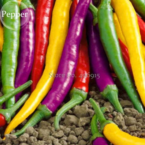 Mixed Colorful Hot Colorful Pod Pepper Chili, 50 Seeds, new hot ornamental vegetables high germination E3667