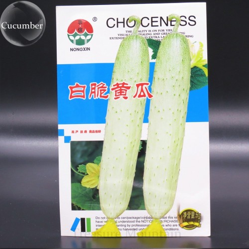 Heirloom White Crisp Long Cucumber F1 Seeds, Original Pack, approx 85 Seeds, Sweet Tasty Edible Vegetable Fruit Garden Seeds