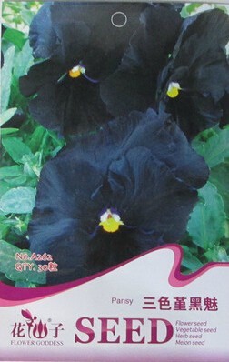 Black Pansy Seeds, Original Pack, 30 Seeds / Pack, Clear Crystals Viola Garden Flower Seed Fall Planting #A262