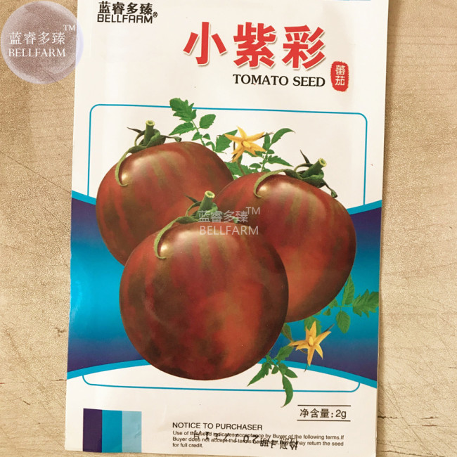 BELLFARM Tomato Coffee Color with Brown Stripes 'Zicai' Vegetable Seeds, 300 seeds, original pack, tasty organic fruits