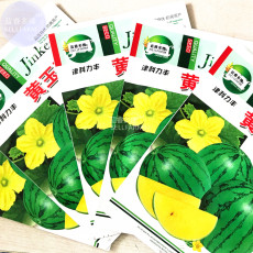 BELLFARM Yellow Gift Watermelom Seeds, 5 packs, 40 seeds/pack, small-sized watermelon 14% sugar contained extra-ealry maturing