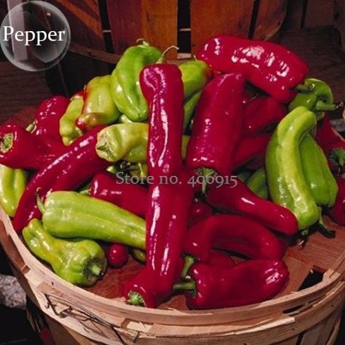 Heirloom 'Cubanelle' Pepper Green Red Orange Sweet Pepper, 50 Seeds, organic vegetables E3859