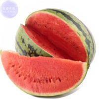 BELLFARM Big Pink Watermelon Improved Seeds, Professional Pack, 20 Seeds, thin skin mushy sweet tasty melon fruits E4164