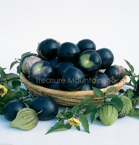 Black Royal Little Cherry Tomato Organic Seeds, Professional Pack, 100 Seeds / Pack, They Keep Well After Harvest #TS016