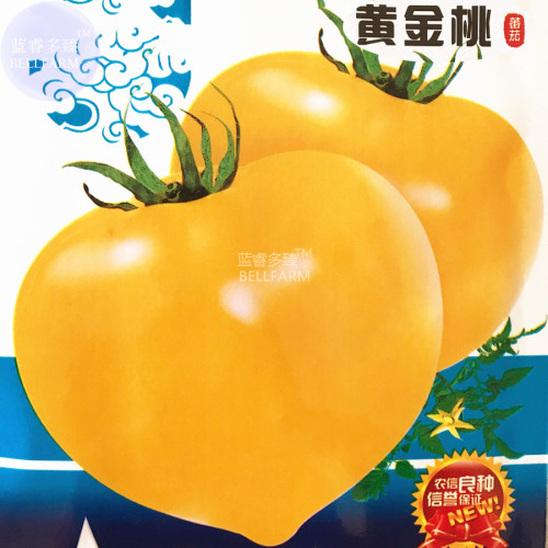 BELLFARM Tomato Yellow 'Golden Peach' Sweet Fruit Seeds, 300 Seeds, original pack, big tasty juicy vegetables