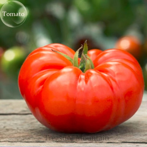 100% Genuine Heirloom Beefsteak Tomato, 20 Seeds, tasty juicy sweet bright red beef tomato vegetables organic TS226T