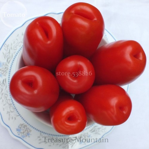 Super Rare Red AURIA  Tomato Seeds, Professional Pack, 100 Seeds / Pack, Edible Tasty Fruits Heirloom Organic Seeds