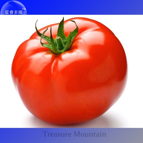 Adelebe Bright Red Big Tomato Seeds, professional pack, 100 Seeds TS293T