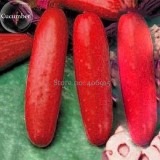Hmong Red Cucumber Cucumis sativus, 20 Seeds, edible organic vegetables E3682
