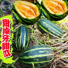 BELLFARM Sweet Melon Orange Inside Green Skin Organic Fruit Seeds, 70 seeds, early-maturing 13% sugar contained vegetables