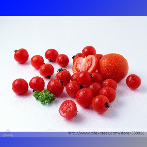 'Tongzi' Red Round Cherry Tomato Hybrid F2 Seeds, Professional Pack, 100 Seeds / Pack, Mini Sweet Fruit New Variety