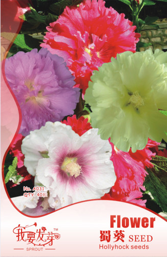 1 Original Pack, 40 seeds / pack, Mix Hollyhock Flowers Perennial Althaea Rosea Alcea Rosea #NF251