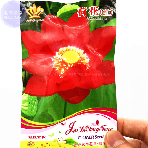 BELLFARM Lotus 'Bride Gift' Seeds, 5 seeds, Original pack, big red double flowers BD112H