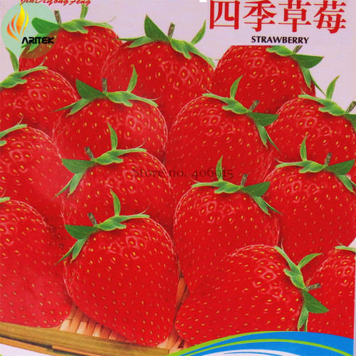 Heirloom 'Jindi' Season Big Red Strawberry Seeds, 40 Seeds, Original Pack, sweet organic juicy Bonsai Outdoor Indoor OJD202Y