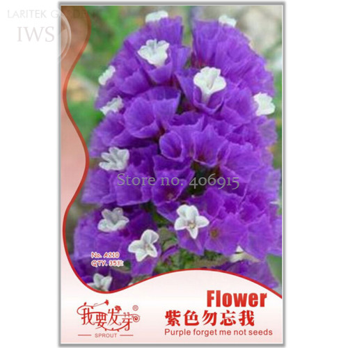 Forget Me Not Flowers Seeds, Original pack, 35 Seeds, ornamental flower seeds IWSA210