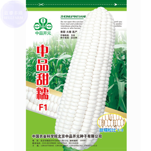BELLFARM Sweet Glutinous White Hybrid Corn 'Seeds' 200grams great for field farming high yield Maize bonsai