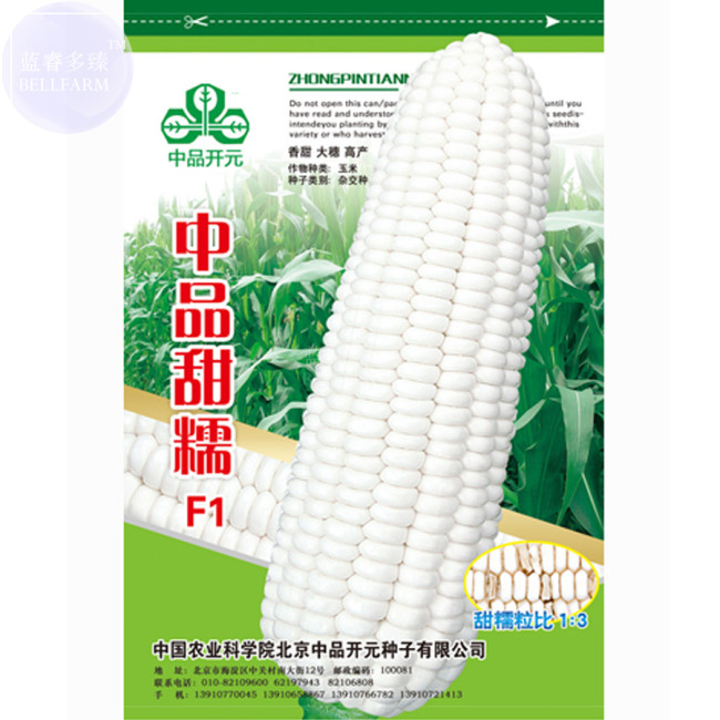 BELLFARM Sweet Glutinous White Hybrid Corn 'Seeds' 200grams great for field farming high yield Maize bonsai