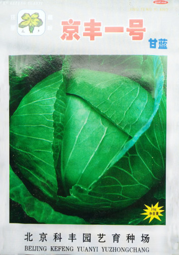 Rare Heirloom Vegetable Garden Cabbage 'Jing Feng F1' Seeds, Original Pack, 1200 Seeds / Pack, Hardy Vegetables #NF642