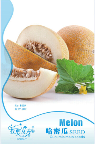 1 Original Pack, 8 seeds / pack, Hami Melon Sweet Honey-Dew Melon Seeds #NF175