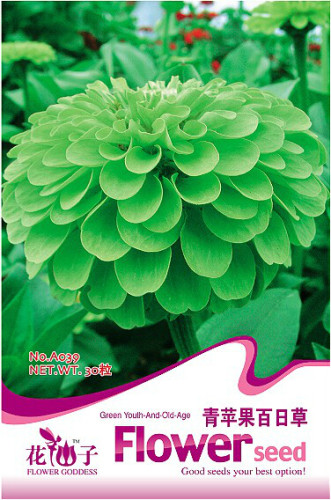 1 Original Pack, 30 seeds Green Garden Youth-And-Old-Age Common Zinnia Zinnia Elegans #A039