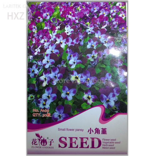 Perennial Small Flower Pansy Seeds, Original Package, 30 seeds, quality potted flower seeds ornamental flower seeds A169