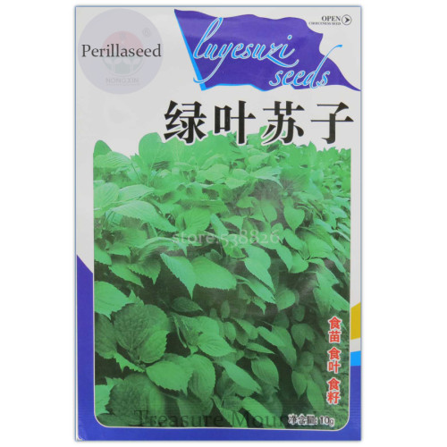 Heirloom Green Perilla Seeds, Original Pack, 5000 Seeds, edible herb vegetables ONX111Y