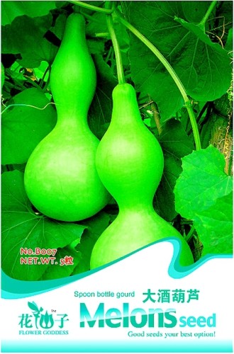 Lagenaria Siceraria Big Wine Spoon Bottle Gourd Seeds, Original Pack, 5 Seeds / Pack B007