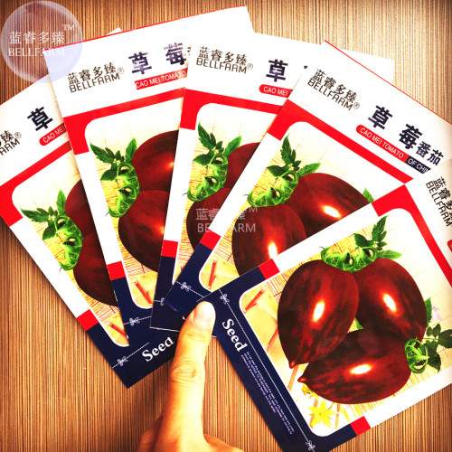BELLFARM Cherry Tomato Ukraine Coffee Purple Fruit Seeds, 5 packs, 100 seeds/pack, organic tasty indeterminate tomato
