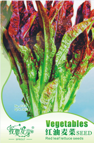 Original Pack, 30 Seeds / Pack, Red Salad Bowl Leaf Lettuce Seeds Lactuca Organic Heirloom Vegetables #A00293