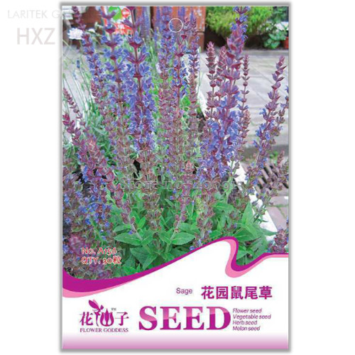 Beautiful Blue Sage Seeds, Original Package, 30 seeds, ornamental flowers aromatic oils can be extracted from flowers A156