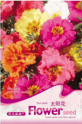 1 Original Pack, 100 seeds / pack, Mix PORTULACA Grandiflora MOSS ROSE Flower Seeds #A022