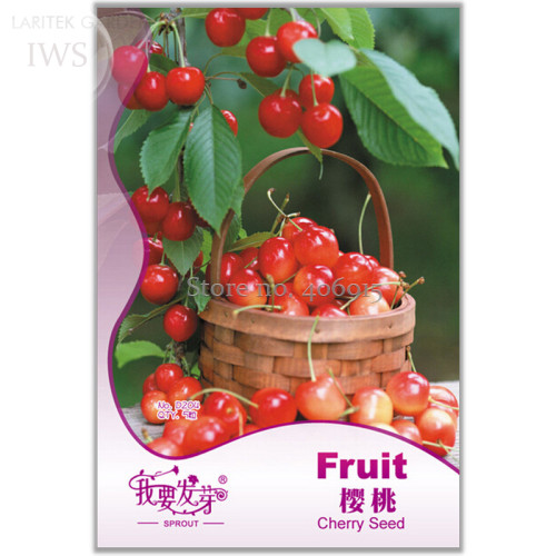 Super Sweet Bonsai Cherry Fruits Seeds, Original Pack, 5 seeds, nutritious delicious cherry fruit garden plant IWSD204S