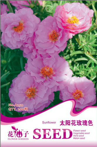 1 Original Pack, 200 seeds / pack, Rose Red Heronsbill Flowers Sunflower EZ to Grow #A250