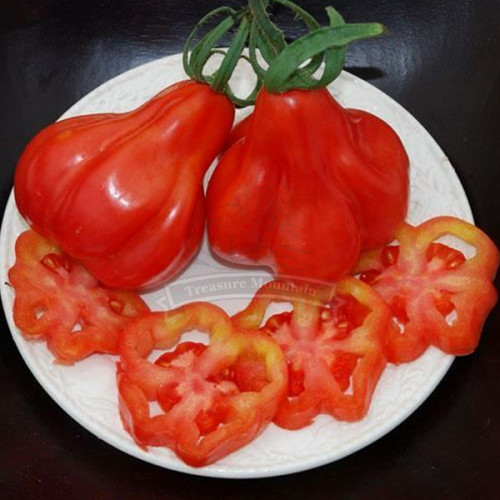 5 Professional Packs, 40 seeds / pack, Tlacolula Tomato Vegetable, Edible & Ornamental Plants, Organic Seeds
