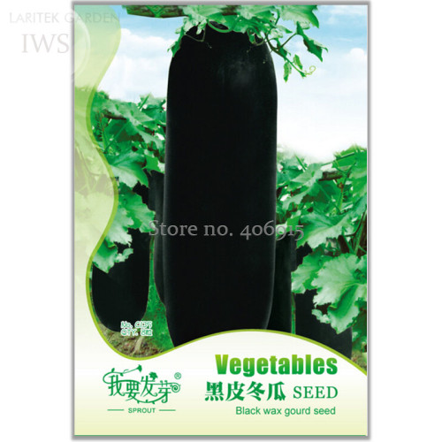 Black Wax Gourd Seed Best Garden Plants Vegetable Seeds, 8 seeds, natural organic vegetables IWSC135