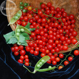 Heirloom Mini Bright Red Cherry Tomato Fruits, 100 seeds, organic tomato E3737