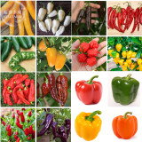 BELLFRAM Mixed 16 Types Sweet Hot Pepper Chili Seeds, 200 Seeds, Professional Pack, DIY Home Garden Vegetable most pepper E4155