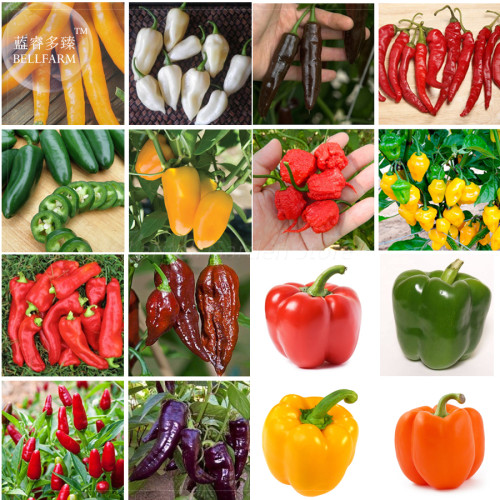 BELLFRAM Mixed 16 Types Sweet Hot Pepper Chili Seeds, 200 Seeds, Professional Pack, DIY Home Garden Vegetable most pepper E4155