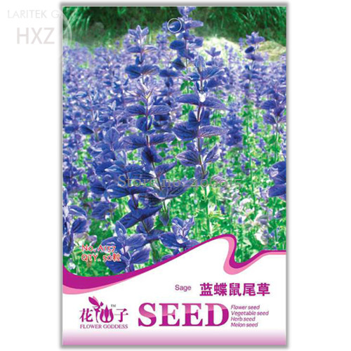 Blue Butterfly Sage Flower Seeds, Original Package, 50 seeds, strong aroma ornamental flowers aromatic A157