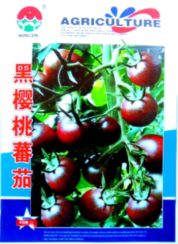 Heirloom Black Harbin Pearl Cherry Tomato Organic Seeds, Original Pack, 300 Seeds / Pack, Very Sweet Tasty Fruit E3277