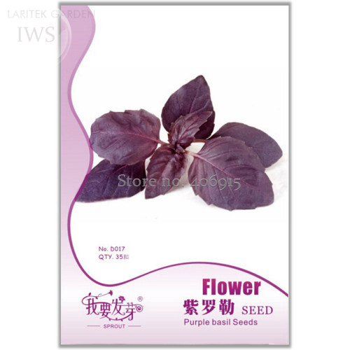 Purple Basil Seeds Aromatic Plants Seeds, Original Pack, 35 seeds, fragrant edible vanilla seeds IWSD017