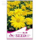 Beautiful Sneezeweed Flower Seeds, 50 seeds, balcony patio potted indoor seasons easy to plant flower seeds A131