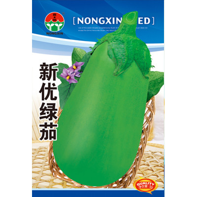 Heirloom New Optimized Big Green Eggplant Vegetable Organic Seeds, Original Pack, 280 Seeds / Pack, Great Tasty Vegetables E3414
