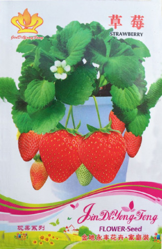 Heirloom Bonsai Big Organic Red Strawberry Seeds, Original Pack, 40 Seeds / Pack, Tasty Sweet Fruit for Indoor Planting #NF733