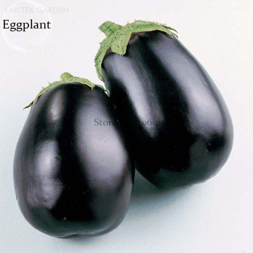 Aubergine Black Egg Plant Vegetables, 100 seeds, organic vegetables  E3801