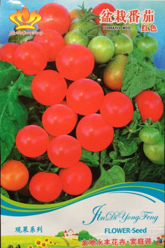 Rare Red Bonsai Dwarf Tomato 'Chong Ming' Organic Seed, Original Pack, 30 Seeds / Pack, Very Sweet Beautiful Little Tomato E3046