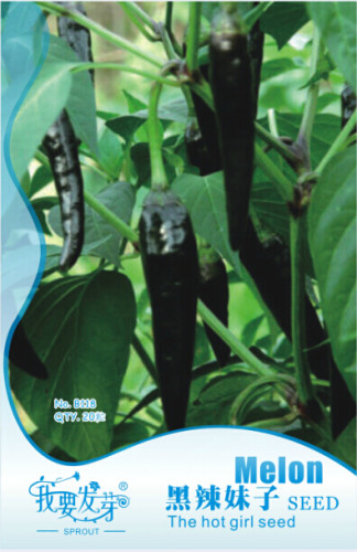 1 Original Pack, 20 seeds / pack, Fresh Hungarian Black Hot Chili Pepper Capsicum fruitescens #NF130