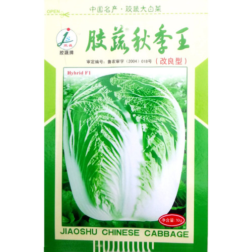 BELLFARM Chinese Cabbage Autumn Vegetables Seeds, 10 grams, original pack, hybrid F1 heat resistance disease-resistant