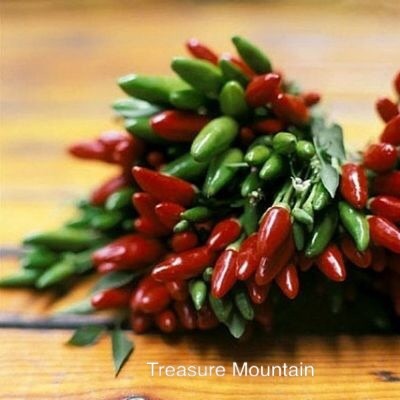 Rare Serrano Chili Pepper Heirloom Seeds, Professional Pack, 100 Seeds / Pack, Bright Small Red Green Pepper Edible NF692